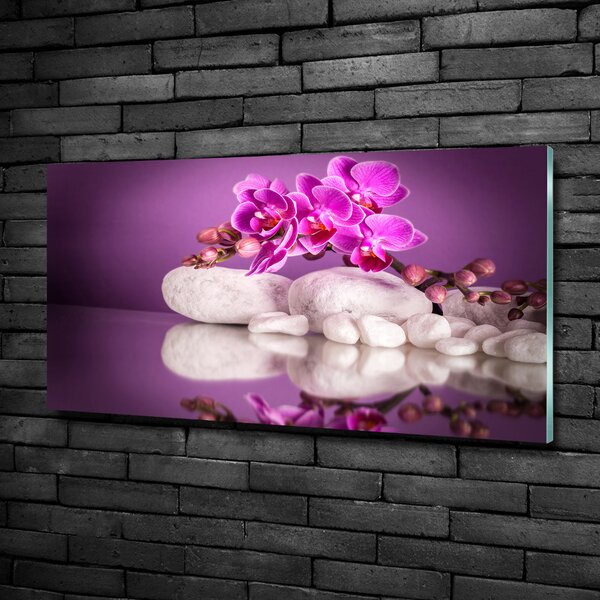 Foto obraz sklo tvrzené Růžová orchidej osh-82457632