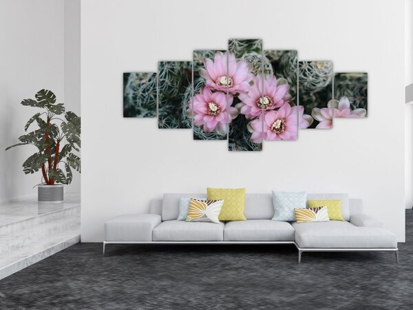 Obraz květ kaktusu (210x100 cm)