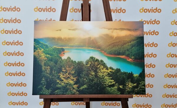 Obraz řeka uprostřed zeleného lesa
