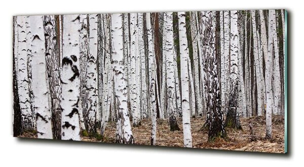 Fotoobraz na skle Bříza osh-83058512