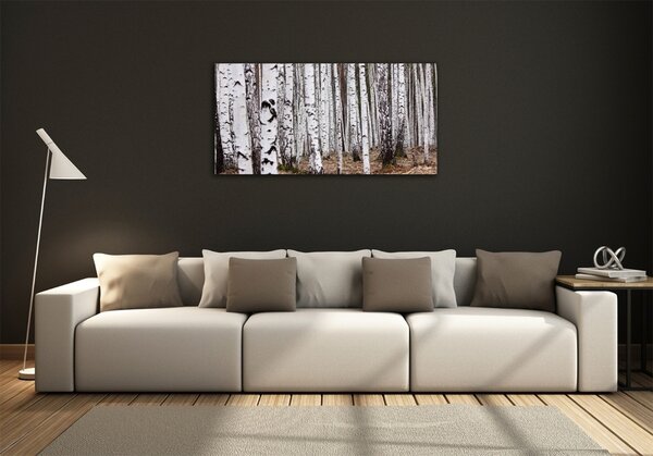 Fotoobraz na skle Bříza osh-83058512