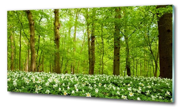 Foto obraz skleněný horizontální Květiny v lese osh-83235444