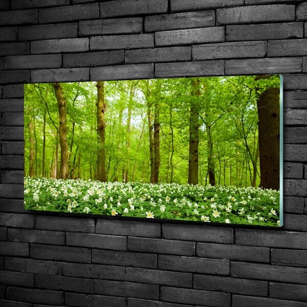 Foto obraz skleněný horizontální Květiny v lese osh-83235444
