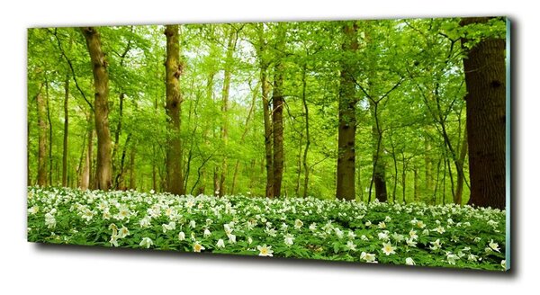 Foto obraz skleněný horizontální Květiny v lese osh-83235444