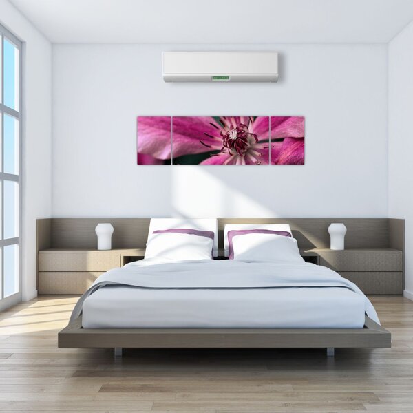 Obraz růžového květu Plaménku (170x50 cm)