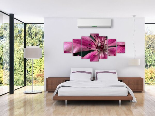 Obraz růžového květu Plaménku (210x100 cm)