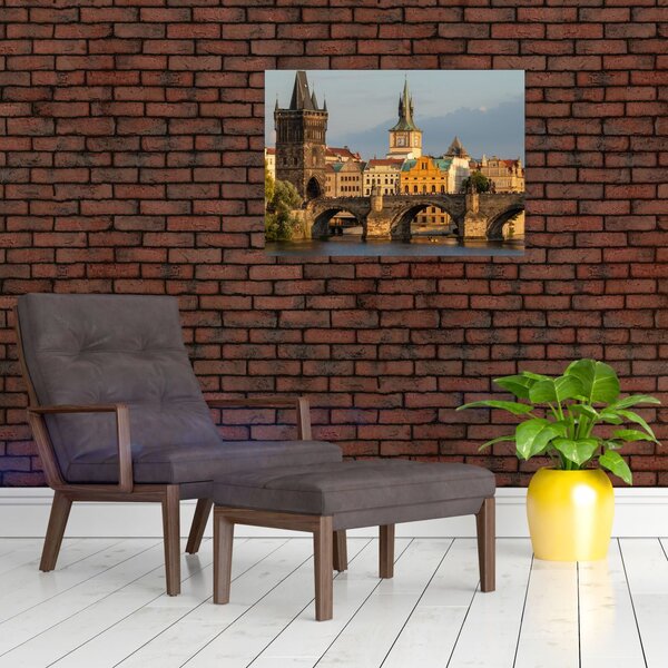 Obraz - Karlův most (70x50 cm)