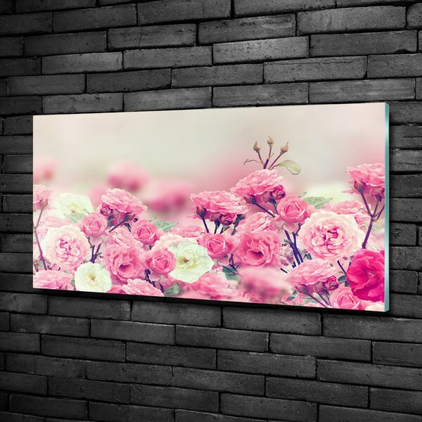 Moderní skleněný obraz z fotografie Květy divoké růže osh-84071229