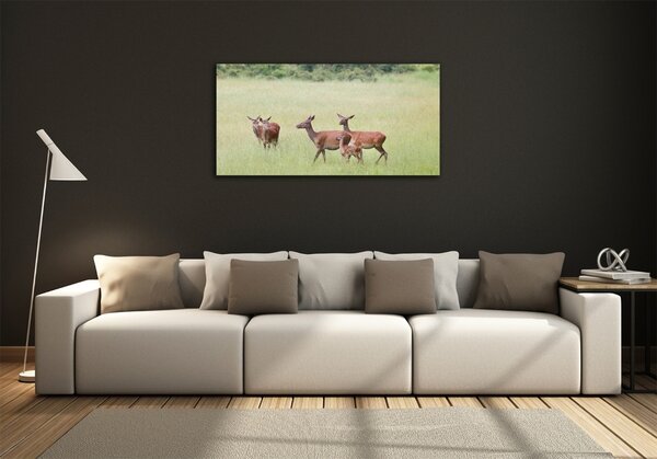 Foto obraz skleněný horizontální Srna s mladými osh-84087864