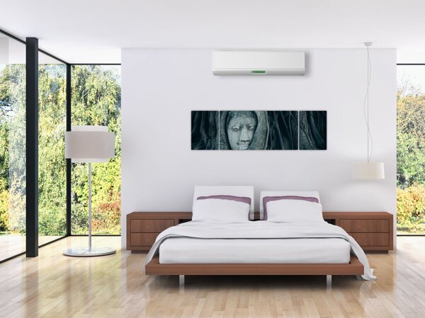 Obraz - Thajská tvář (170x50 cm)