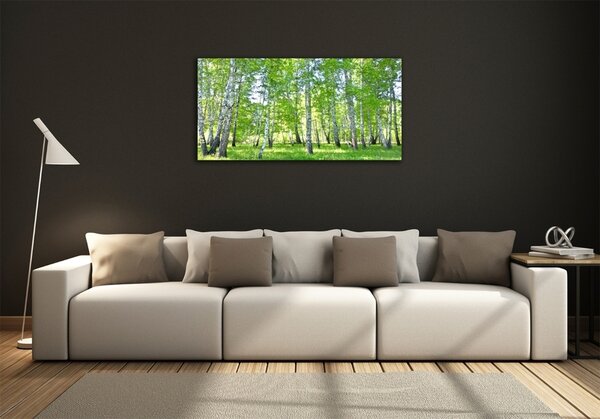 Foto-obraz fotografie na skle Břízy osh-84161268