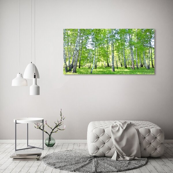 Foto-obraz fotografie na skle Břízy osh-84161268