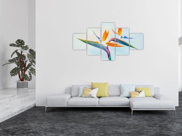Obraz květu Strelície (125x70 cm)