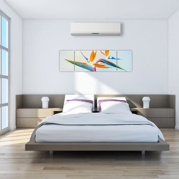 Obraz květu Strelície (170x50 cm)