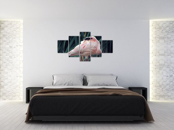 Obraz - Plameňák (125x70 cm)