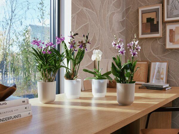 Obal Vibes Fold Orchid High 12,5 cm, růžová