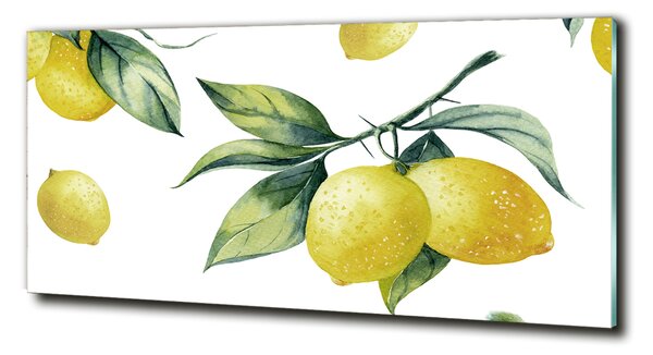 Fotoobraz na skle Citrony osh-85316646