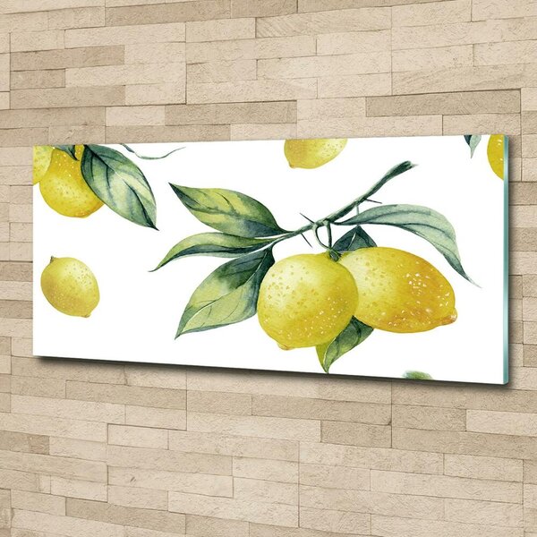Fotoobraz na skle Citrony osh-85316646