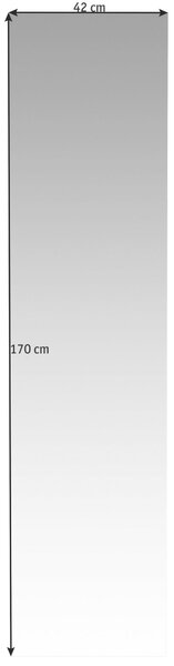 NÁSTĚNNÉ ZRCADLO, 42/170/3 cm, Novel - Šatní skříně