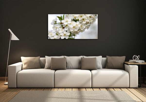 Foto obraz fotografie na skle Květy višně osh-85335086