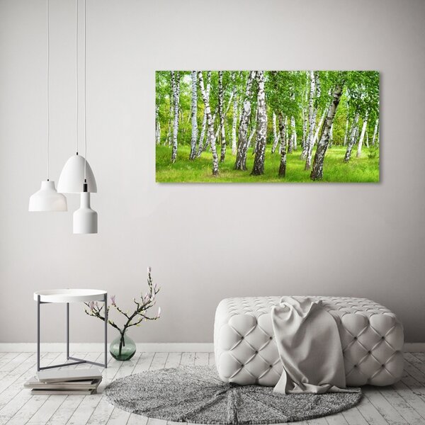 Fotoobraz na skle Břízový les osh-85613602