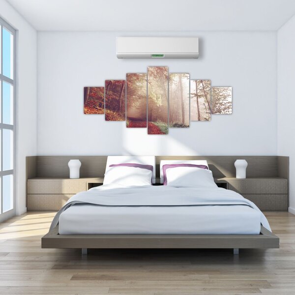 Obraz - Podzimní procházka lesem (210x100 cm)