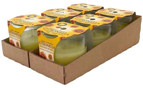 Petali Citronella vonná svíčka ve skle Maiorca 6ks - hoření 25h