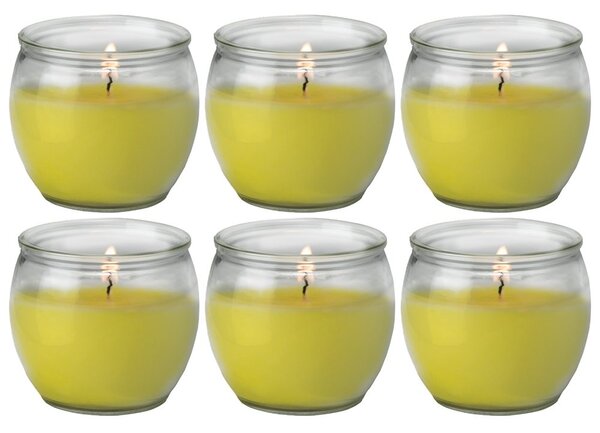 Petali Citronella vonná svíčka ve skle Maiorca 6ks - hoření 25h