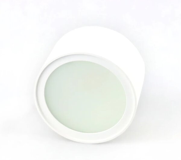 LED bodové svítidlo Minalox D100, 12W, CCT 1800-4500K, 24V Barva: Bílá