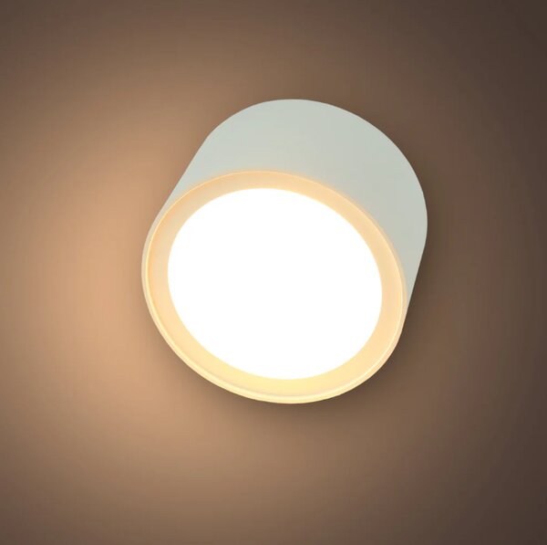 LED bodové svítidlo Minalox D100, 12W, CCT 1800-4500K, 24V Barva: Bílá