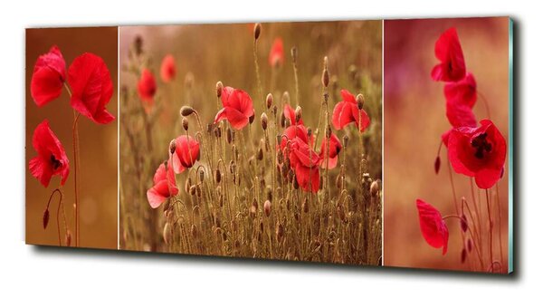 Foto-obrah sklo tvrzené Máky triptych osh-87059818