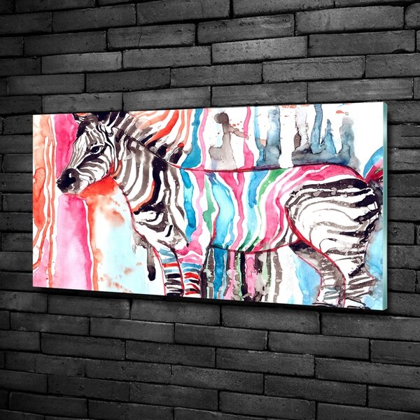 Fotoobraz na skle Barevná zebra osh-87232366