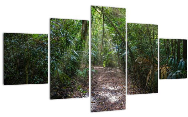 Obraz - Sluneční paprsky v džungli (125x70 cm)