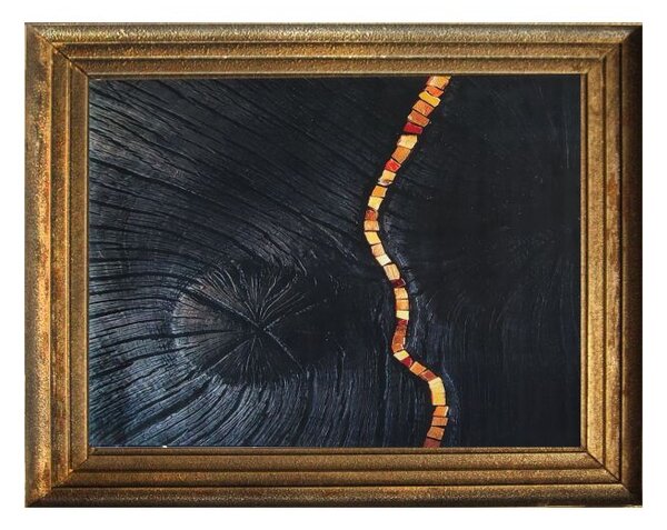 Makro Abra Moderní kusový koberec BLACK and GOLD N 11 Staré dřevo černý zlatý Rozměr: 60x100 cm