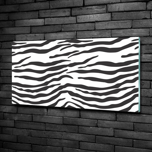 Fotoobraz na skle Zebra pozadí osh-87477290
