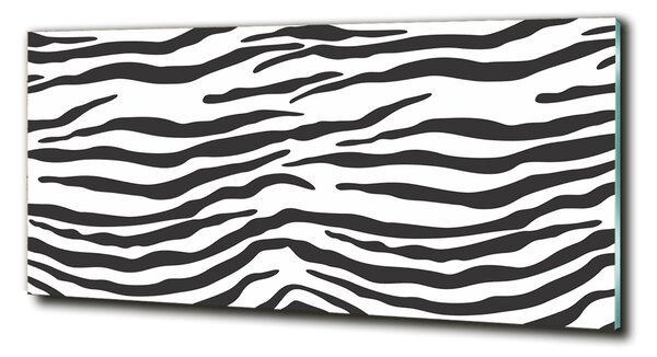 Fotoobraz na skle Zebra pozadí osh-87477290