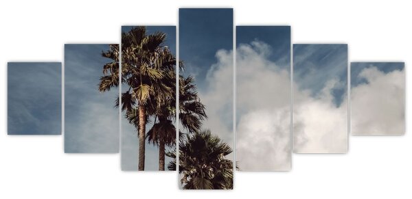 Obraz - Palmové drama (210x100 cm)