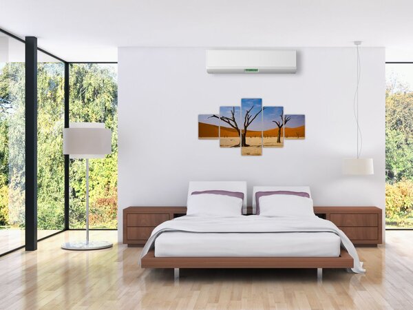 Obraz - Údolí smrti (125x70 cm)
