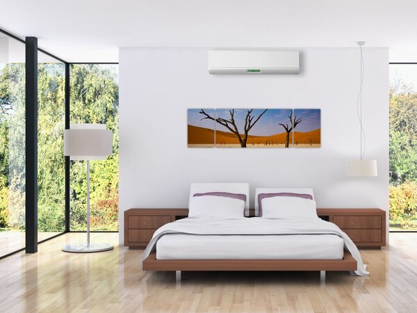 Obraz - Údolí smrti (170x50 cm)