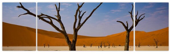 Obraz - Údolí smrti (170x50 cm)