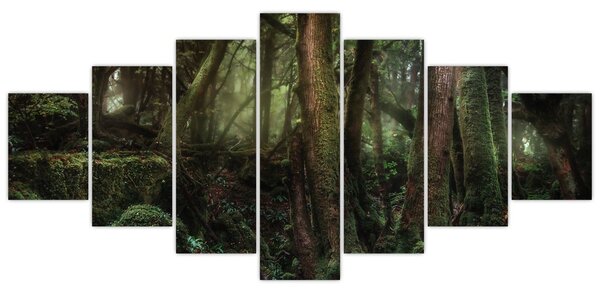Obraz - Tajemný les (210x100 cm)