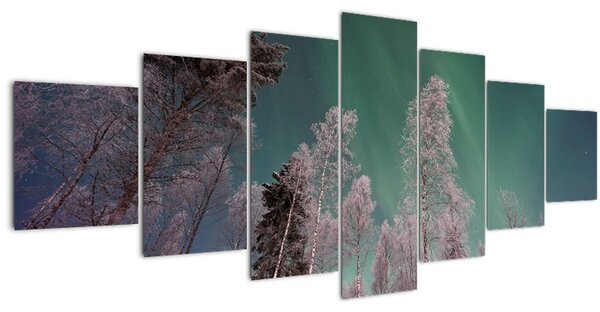 Obraz polární záře nad zmrzlými stromy (210x100 cm)