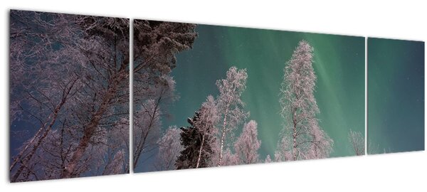 Obraz polární záře nad zmrzlými stromy (170x50 cm)