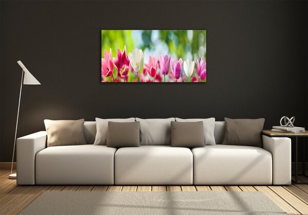 Fotoobraz na skle Tulipány osh-88763928