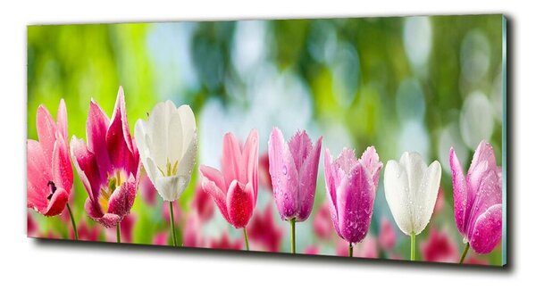 Fotoobraz na skle Tulipány osh-88763928
