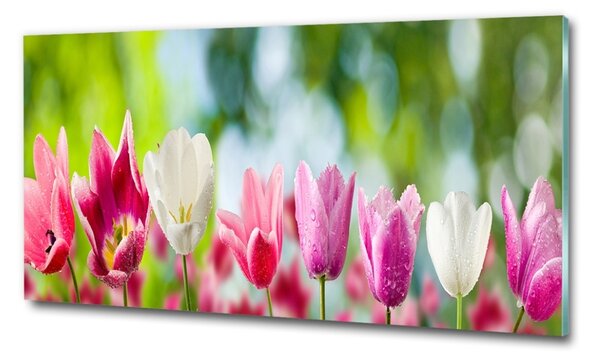 Fotoobraz na skle Tulipány osh-88763928