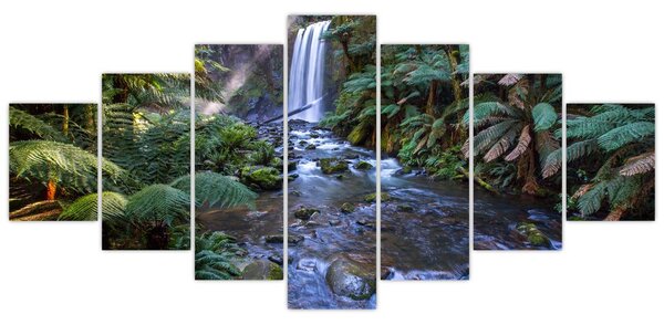 Obraz austraského deštného lesa (210x100 cm)