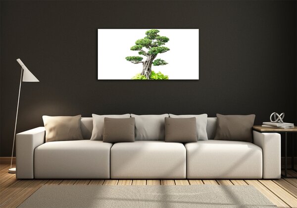 Foto obraz sklo tvrzené Bonsai osh-88907159