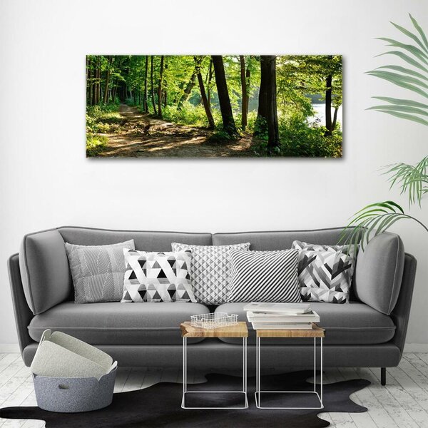 Fotoobraz na skle Stezka na louce osh-89440501