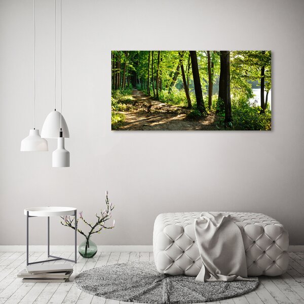 Fotoobraz na skle Stezka na louce osh-89440501